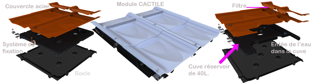 Design industriel CACTILE