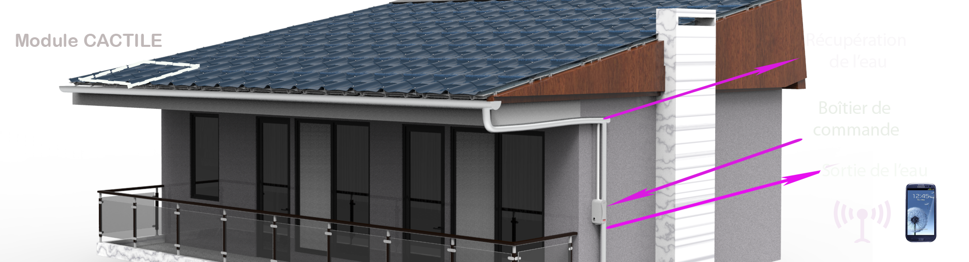 Design industriel CACTILE