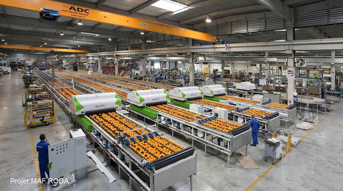 Etude MAF RODA design produit conception ingénierie industrialisation de 1982 à 2024